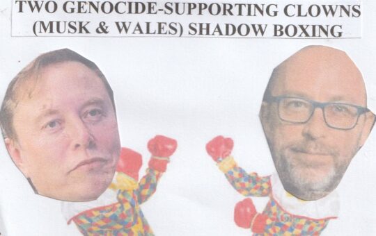 Musk vs Wales: Two Clowns